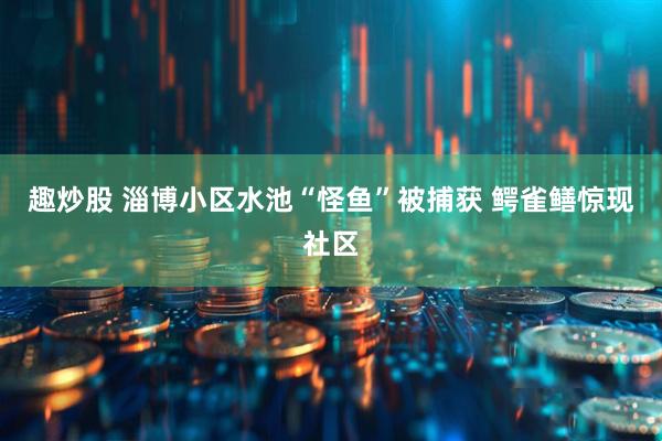 趣炒股 淄博小区水池“怪鱼”被捕获 鳄雀鳝惊现社区